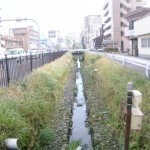 鹿児島３号東西道路荒田川１工区函渠設置工事