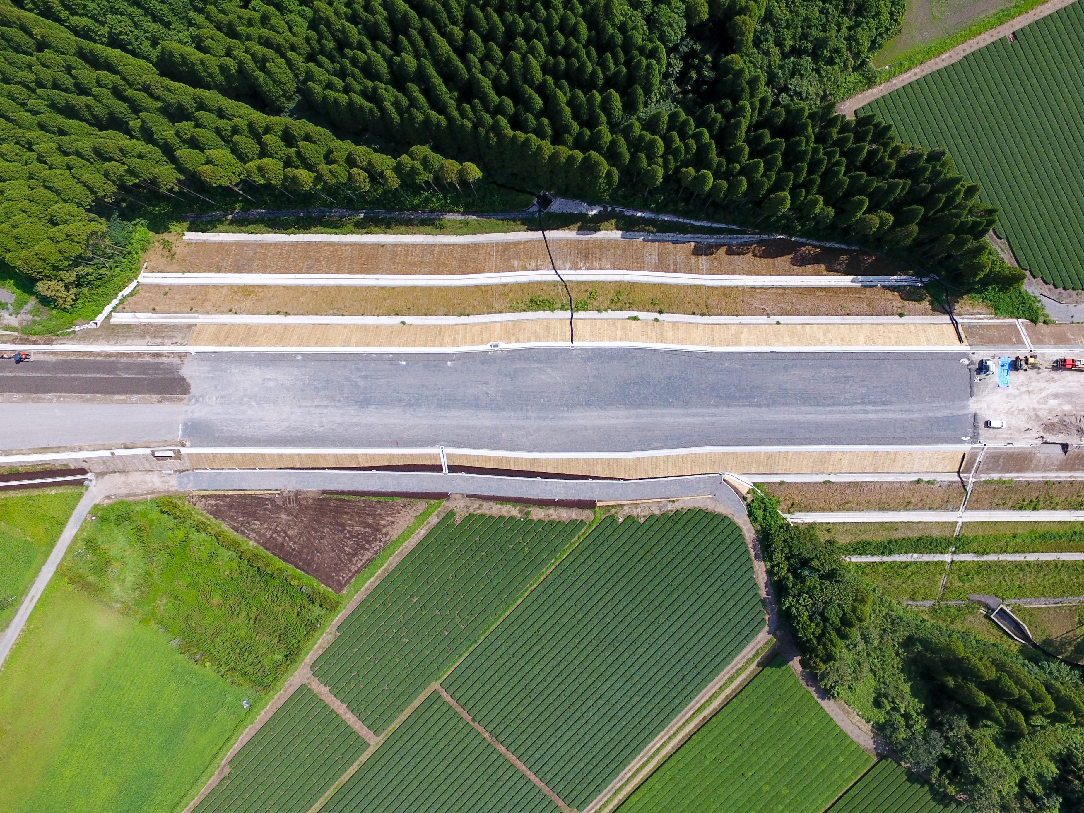 道路改築工事（有明道路28-30工区）